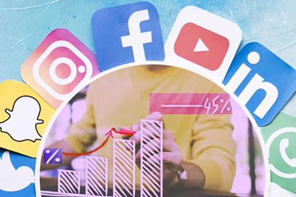 Social Media Content Curation